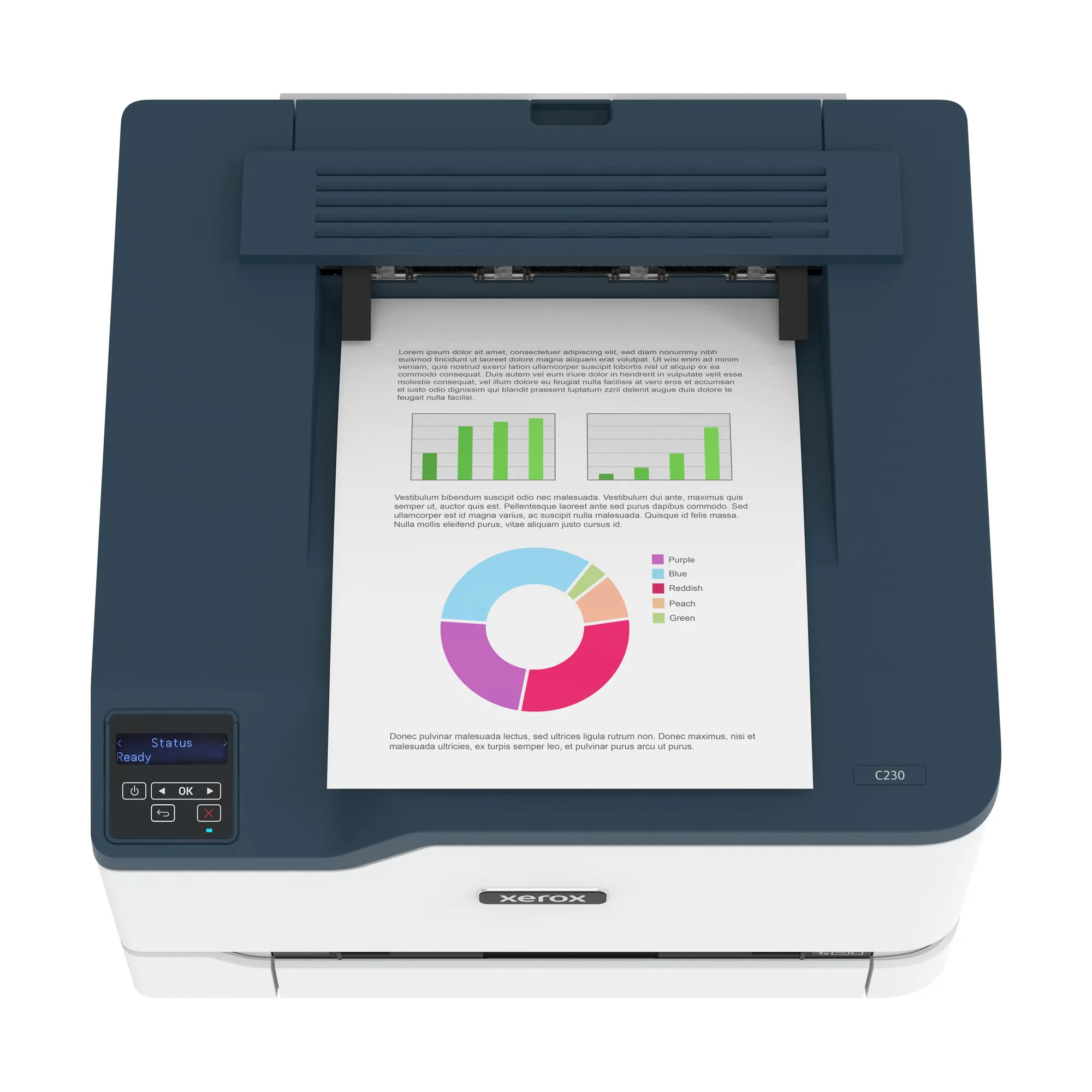 Купить Принтер A4 Xerox C230 с Wi-Fi (C230V_DNI) - фото 4
