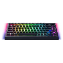 Купить Клавиатура RAZER BlackWidow V4 Pro Black (RZ03-05130300-R3E1) - фото 3