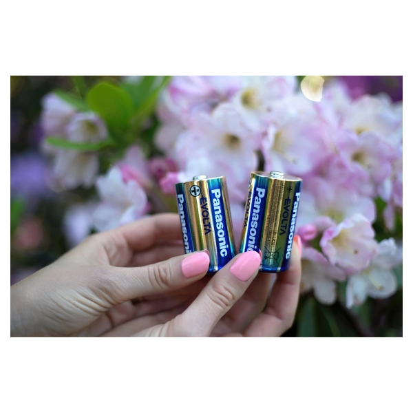 Купити Батарейка Panasonic EVOLTA ALKALINE D(LR20) 2 шт. (LR20EGE/2BP) - фото 3