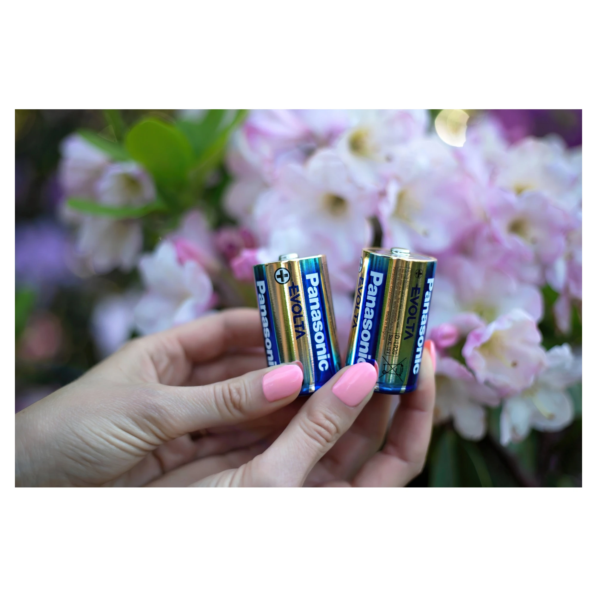 Купити Батарейка Panasonic EVOLTA ALKALINE D(LR20) 2 шт. (LR20EGE/2BP) - фото 3