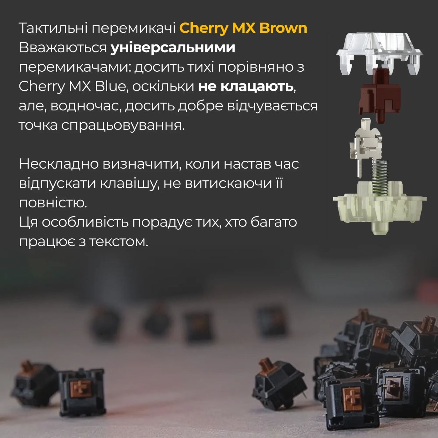 Купити Клавіатура Ducky One 3 RGB Cherry MX Brown - фото 6