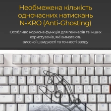 Купить Клавиатура Ducky One 3 RGB White Cherry MX Brown (DKON2108ST-BUAPXPWWWSC1) - фото 14