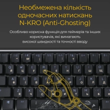 Купить Клавиатура Ducky One 3 Mini Cherry MX Brown (DKON2161ST-BUAPXCLAWSC1) - фото 14