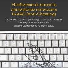 Купить Клавиатура Ducky One 3 Mini White Cherry MX Brown (DKON2161ST-BUAPXPWWWSC1) - фото 14