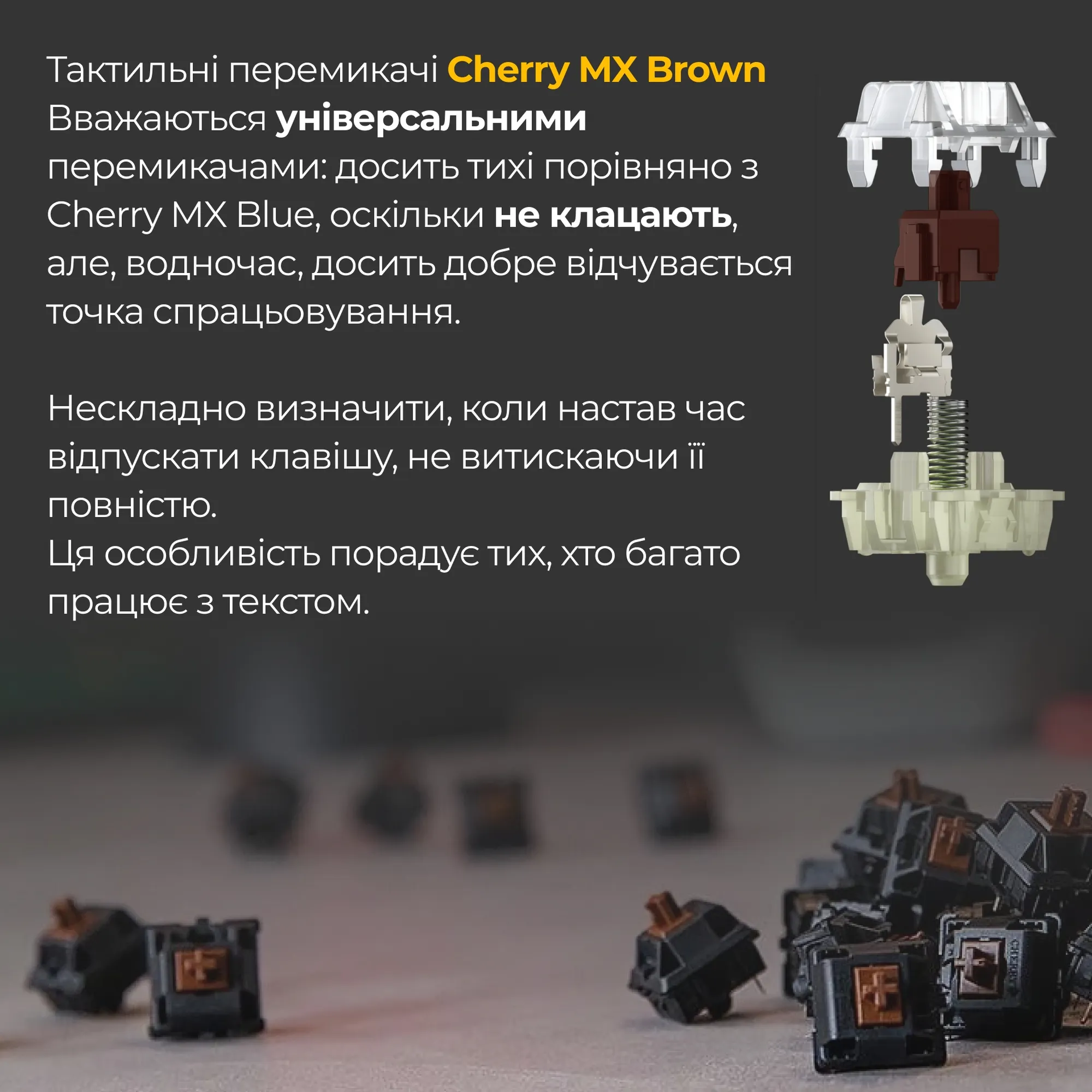 Купити Клавіатура Ducky One 3 Matcha Cherry MX Brown - фото 6