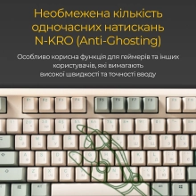 Купить Клавиатура Ducky One 3 Matcha Cherry MX Red (DKON2108-RUAPXМAEGGC1) - фото 14