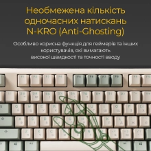 Купить Клавиатура Ducky One 3 TKL Matcha Cherry MX Brown (DKON2187-BUAPXМAEGGC1) - фото 14
