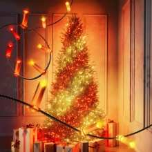 Купить Умная LED гирлянда Twinkly Strings USB-C Candles 100LED 6m Green (TWKC100RGB-G) - фото 2
