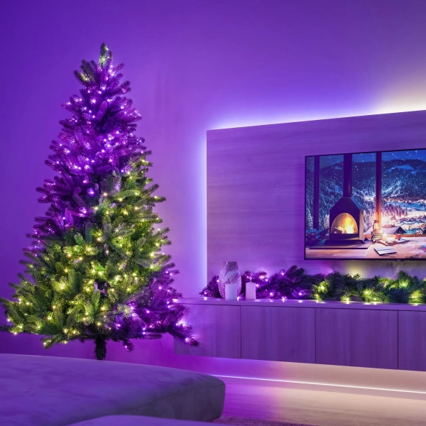 Купити Розумна LED гірлянда Twinkly Strings RGB 250LED 20m Black (TWS250STP-BEU) - фото 5