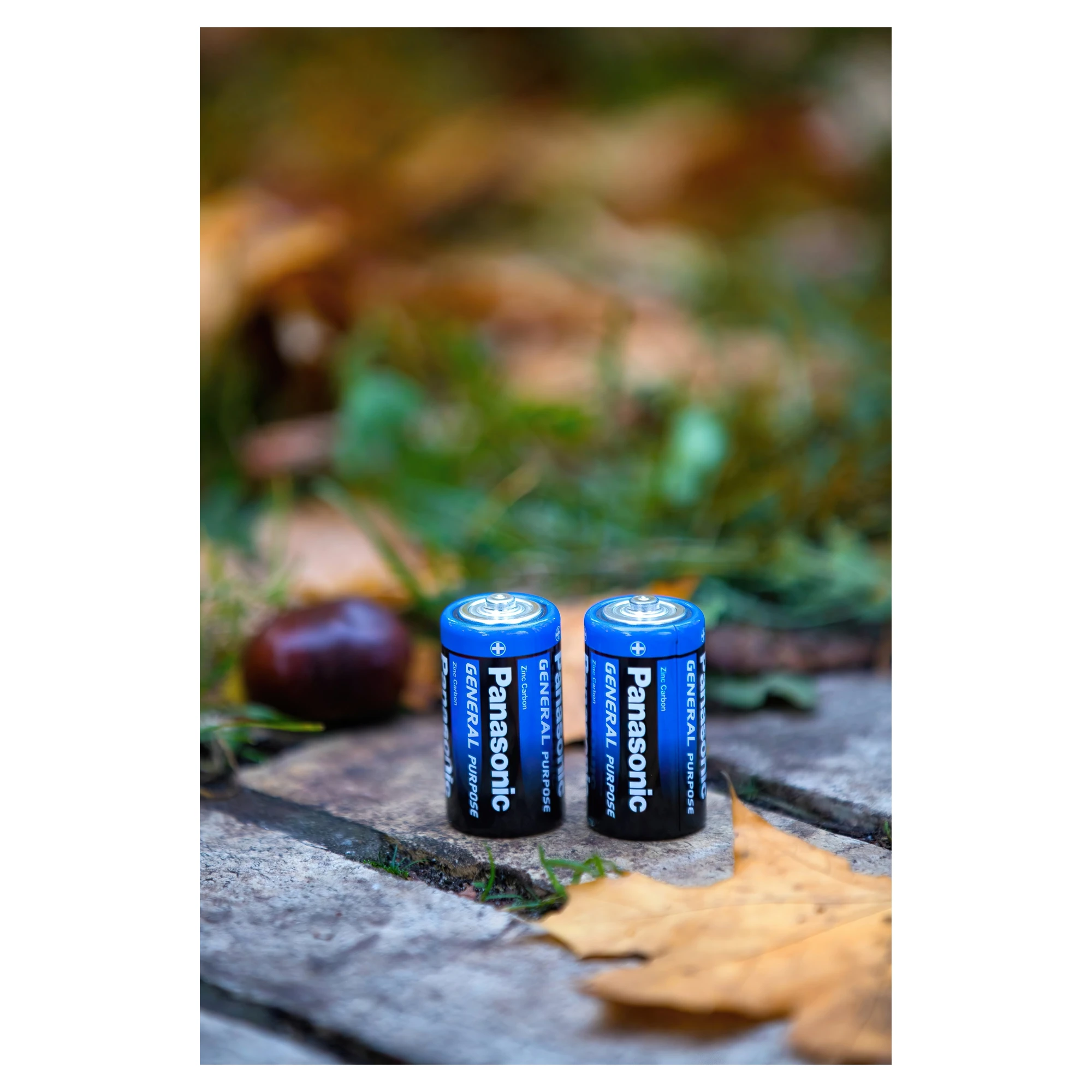 Купити Батарейка Panasonic GENERAL PURPOSE COAL-ZINC D(R20) 2 шт. (R20BER/2P) - фото 3