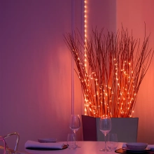 Купить Умная LED гирлянда Twinkly Dots Lights RGB 400LED 20m Black (TWD400STP-BEU) - фото 5
