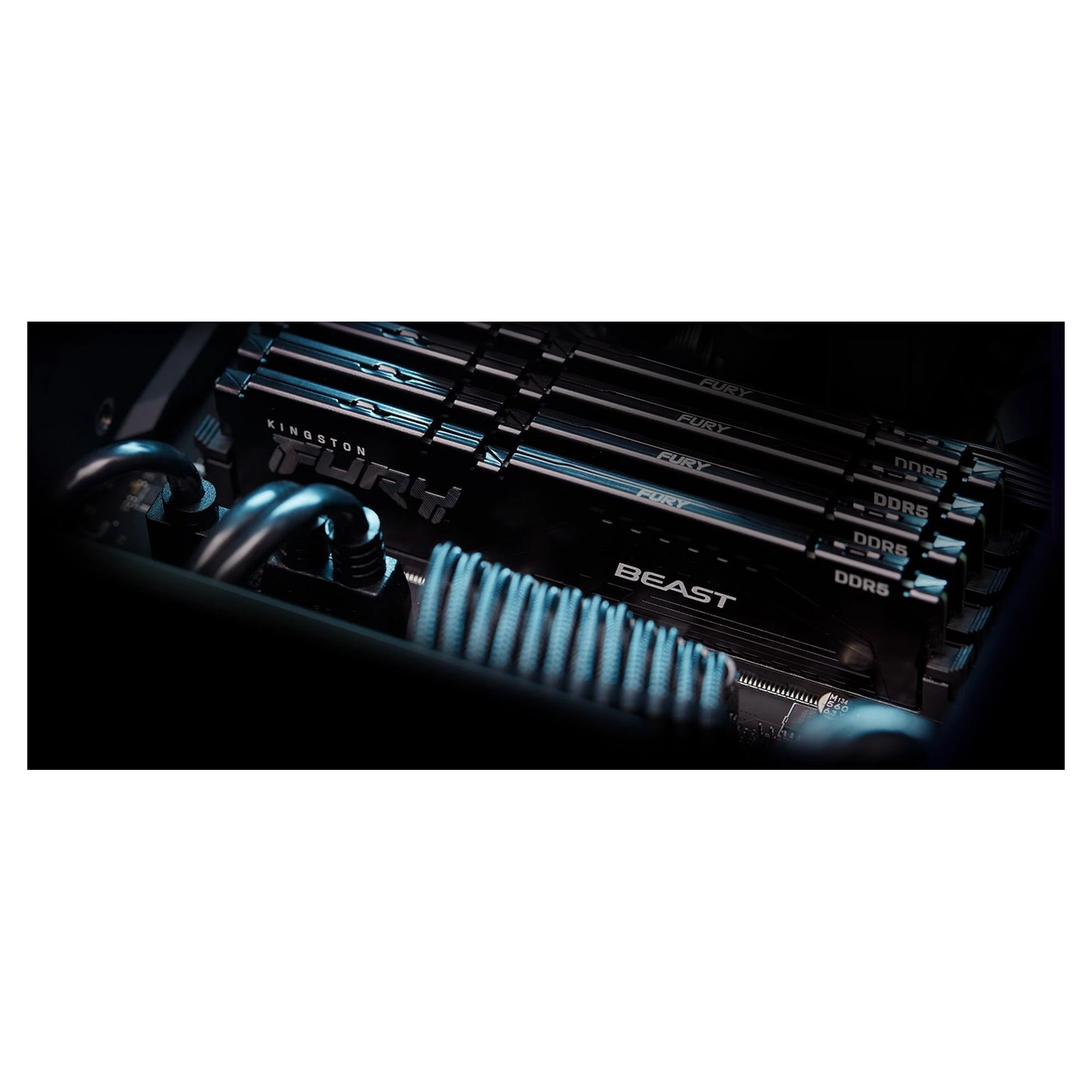 Купить Модуль памяти Kingston FURY Beast Black DDR5-6800 32GB (2x16GB) (KF568C34BBK2-32) - фото 5