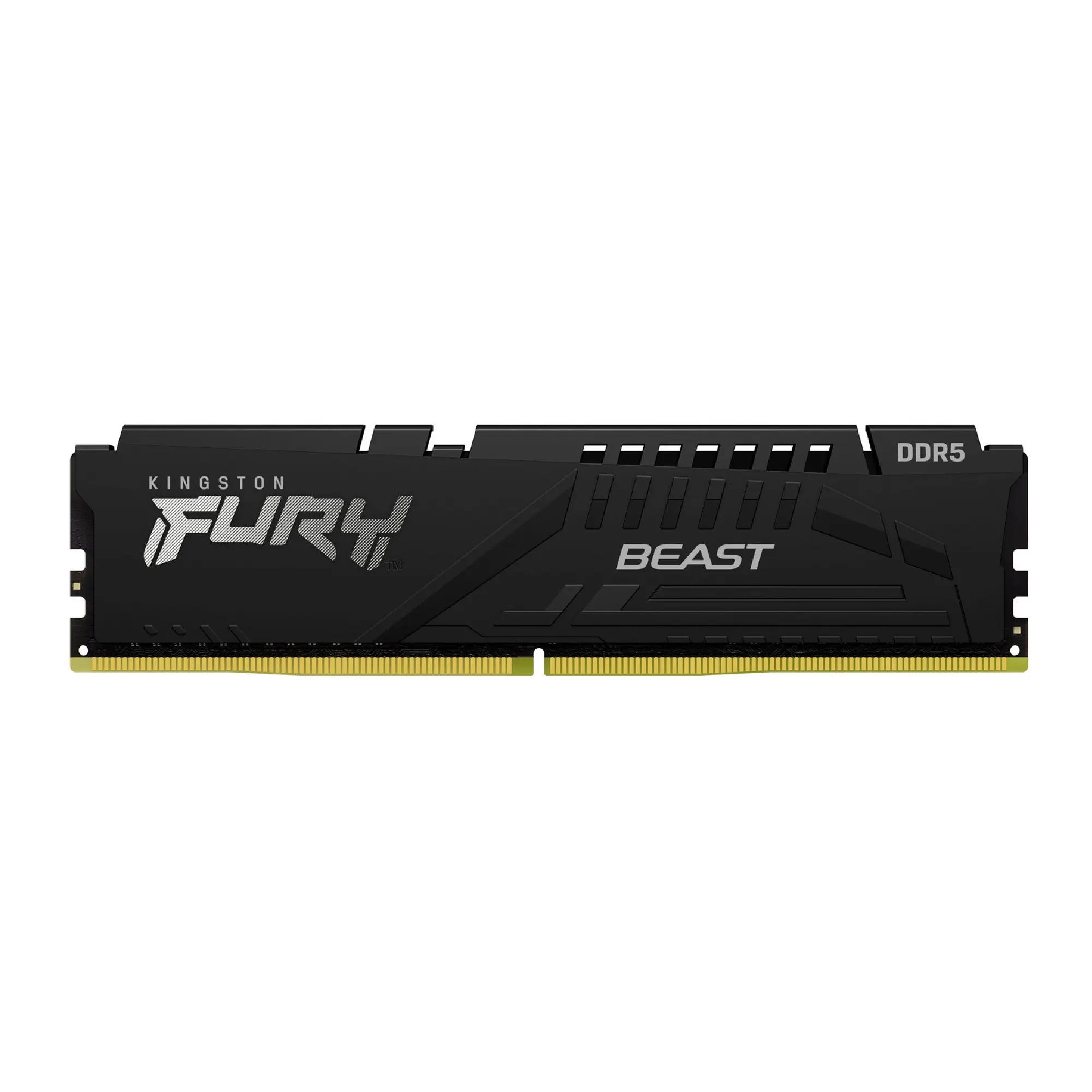 Купить Модуль памяти Kingston FURY Beast Black EXPO DDR5-6800 16GB CL34-45-45 1.4V (KF568C34BBE-16) - фото 1