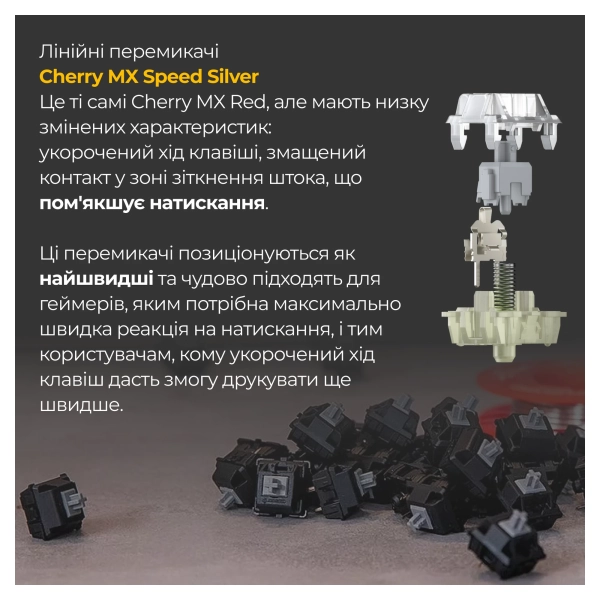 Купити Клавіатура Ducky One 3 Cherry MX Speed ​​Silver RGB Black UA (DKON2108ST-PUAPXCLAWSC1) - фото 6