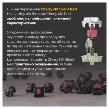 Купить Клавиатура Ducky One 3 Mini Cherry MX Silent Red RGB Black UA (DKON2161ST-SUAPXCLAWSC1) - фото 15