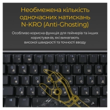 Купить Клавиатура Ducky One 3 SF Cherry MX Red RGB Black UA (DKON2167ST-RUAPXCLAWSC1) - фото 11