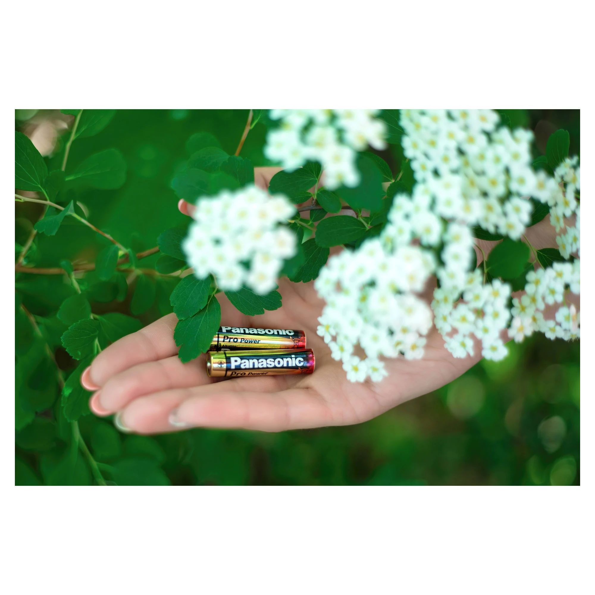 Купити Батарейка Panasonic PRO POWER ALKALINE AAA 2 шт. (LR03XEG/2BP) - фото 3