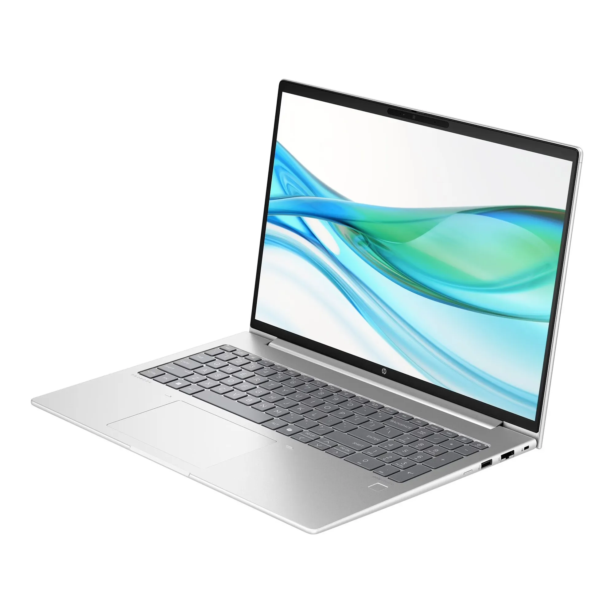 Купить Ноутбук HP ProBook 465 G11 (901H6AV_V3) - фото 3