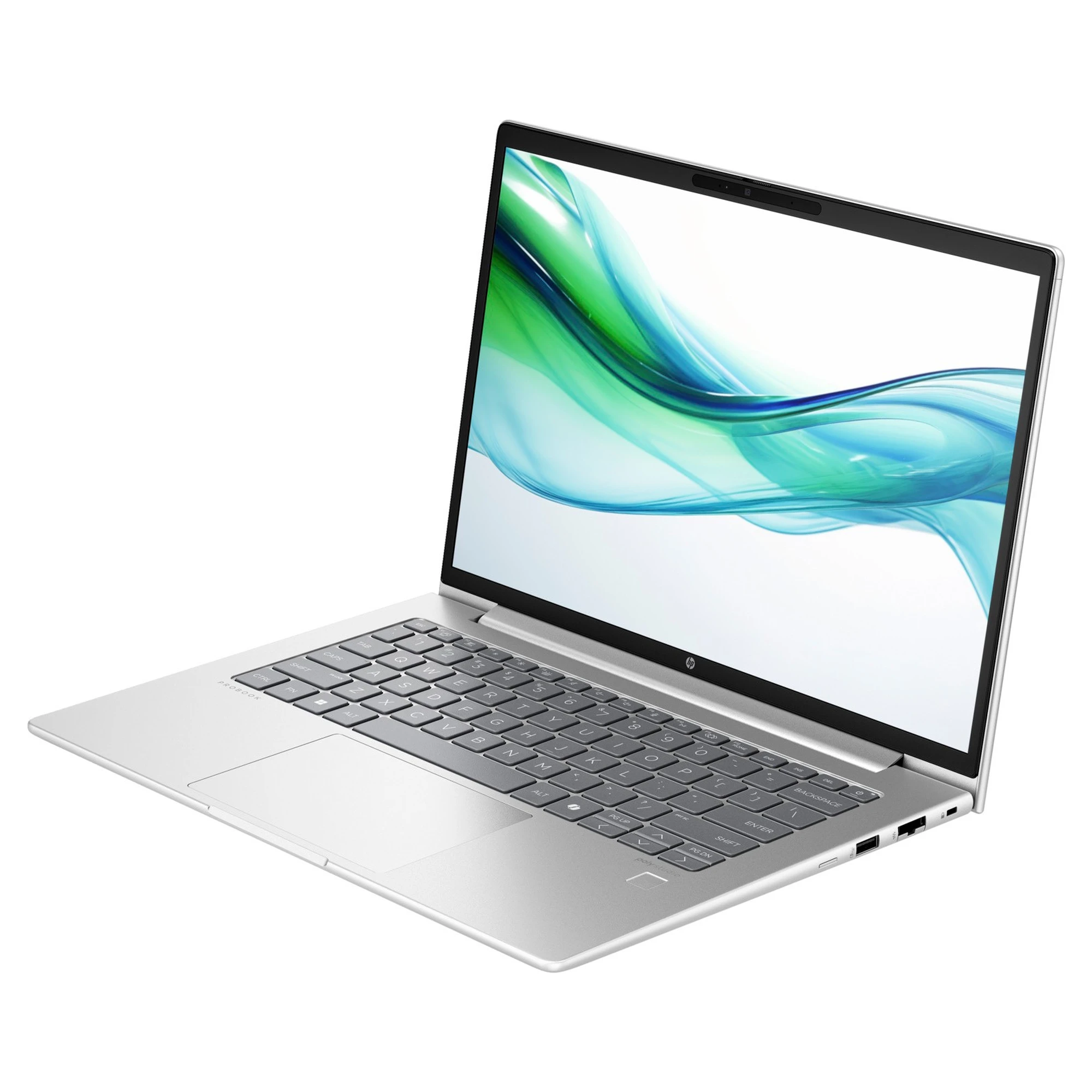 Купить Ноутбук HP ProBook 445 G11 (8Z9P8AV_V1) - фото 3
