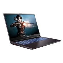 Купити Ноутбук Dream Machines RG2050-17 (RG2050-17UA21) - фото 2