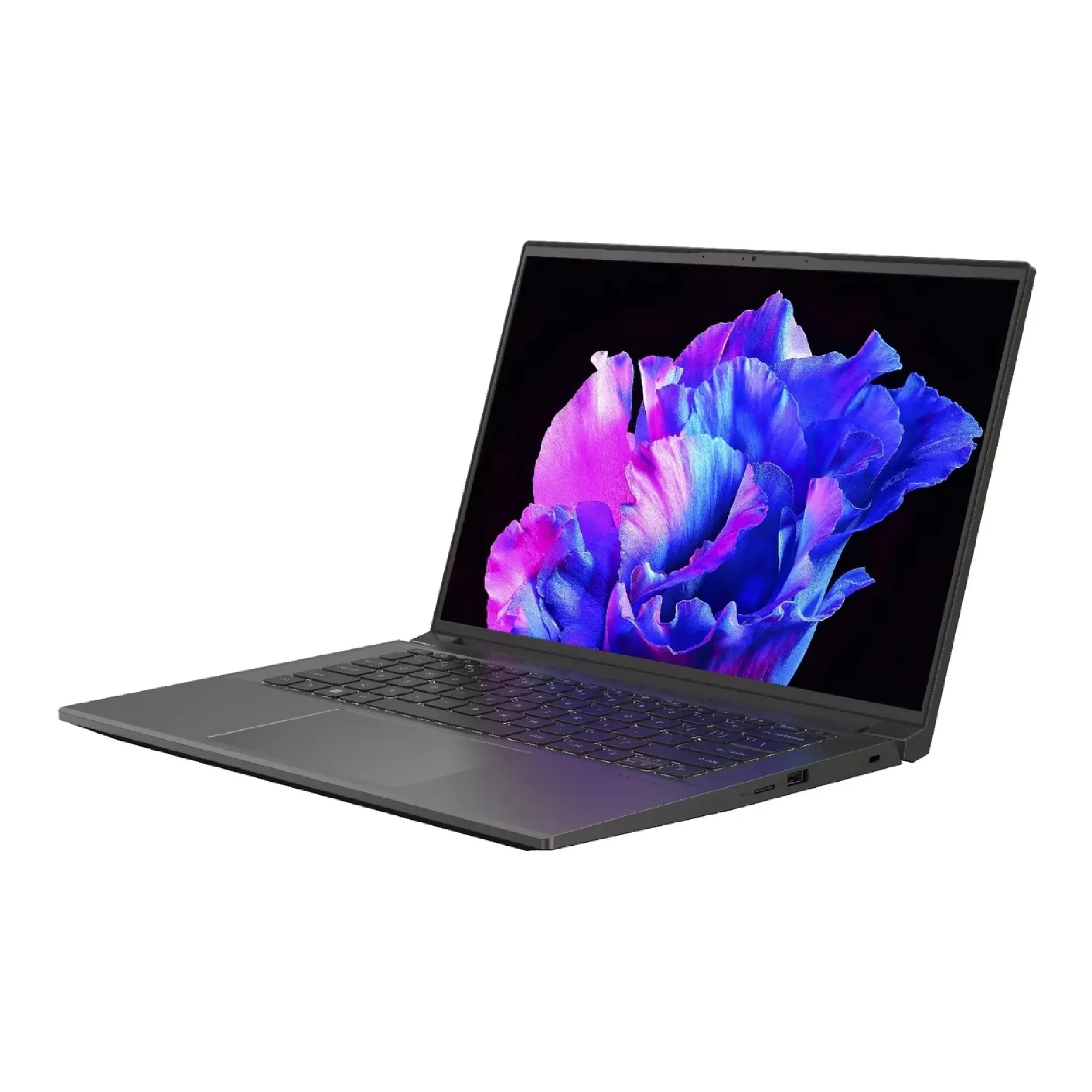 Купить Ноутбук Acer Swift X 14 SFX14-71G-553H (NX.KEVEU.001) - фото 3