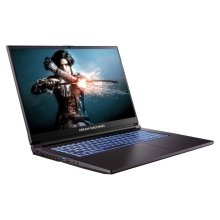Купити Ноутбук Dream Machines RG2050-17 (RG2050-17UA26) - фото 2