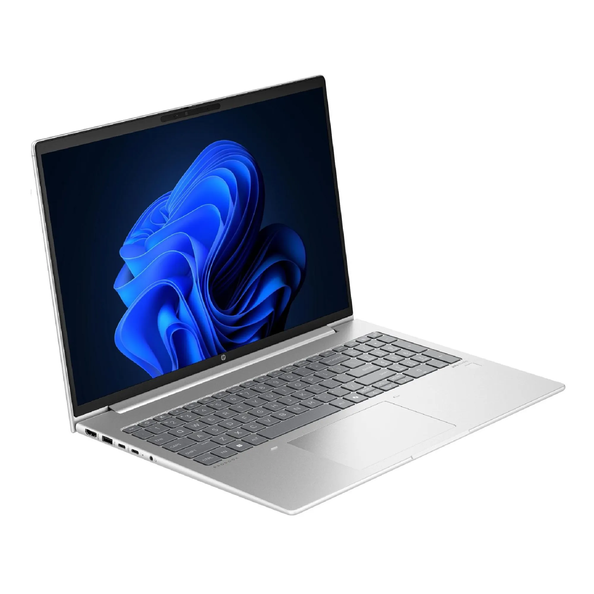 Купить Ноутбук HP Probook 465-G11 (A38JYET) - фото 2