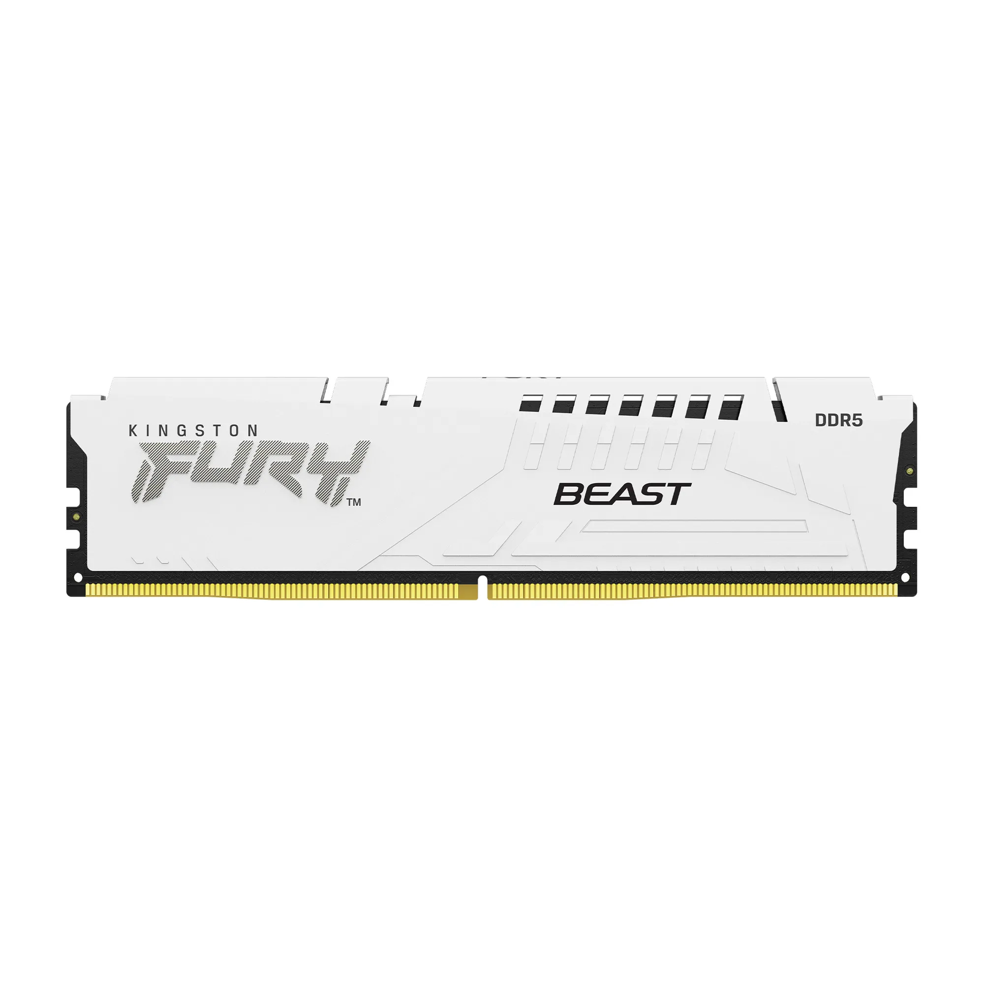 Купити Модуль пам'яті Kingston FURY Beast White DDR5-6000 16GB (KF560C30BWE-16) - фото 2