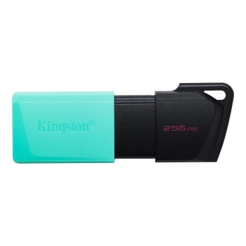 Купить Флеш накопитель 256GB USB Kingston DataTraveler Exodia M (DTXM/256GB) - фото 1