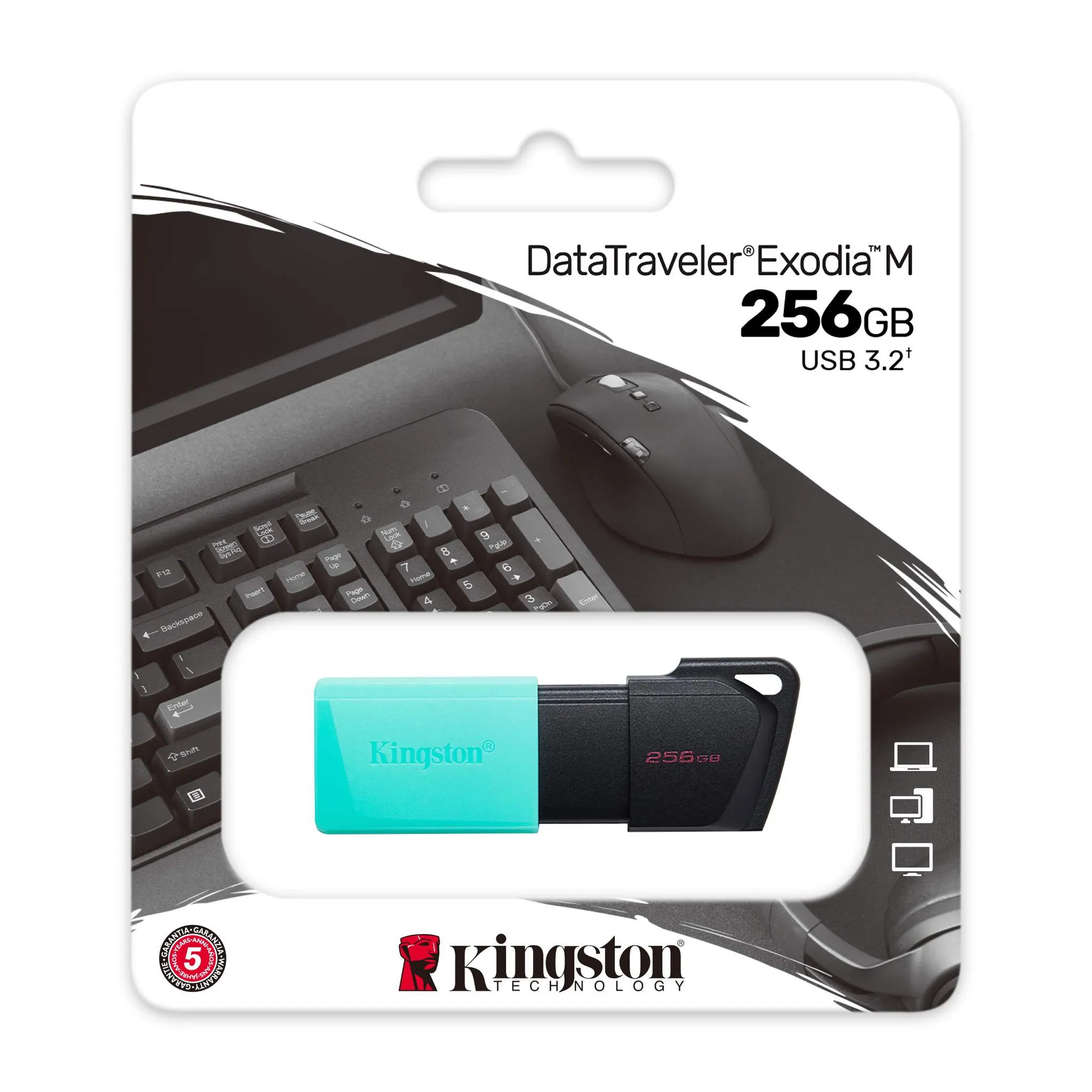 Купити Флеш накопичувач 256GB USB Kingston DataTraveler Exodia M (DTXM/256GB) - фото 3