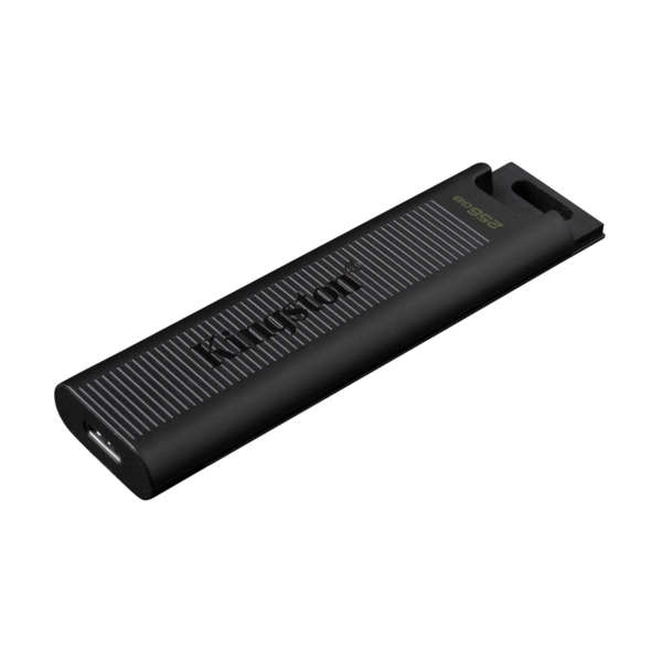 Купить Флеш-накопитель Kingston USB-С 3.2 256GB DataTraveler Max Black (DTMAX/256GB) - фото 3