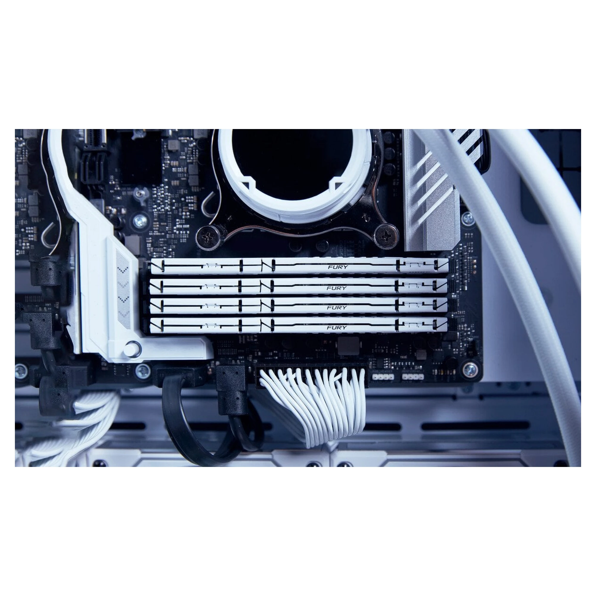 Купить Модуль памяти Kingston FURY Beast White DDR5-6000 32GB (2x16GB) (KF560C36BWE2K2-32) - фото 5