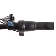 Купити Електровелосипед Maxxter CITY 2.0 (Silver) - фото 6