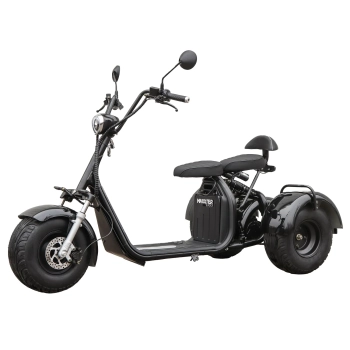 Купити Електроскутер Maxxter TRIKE (Black) - фото 1