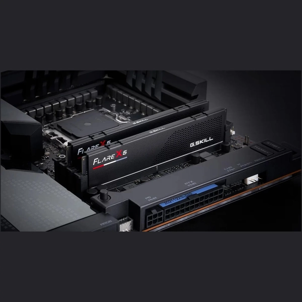 Купить Модуль памяти G.Skill Flare X5 DDR5-6000 96GB (2x48GB) (F5-6000J3036F48GX2-FX5) - фото 7