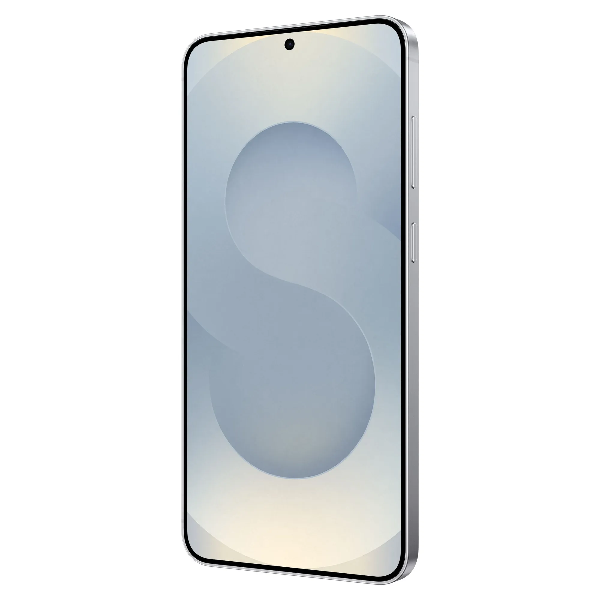 Купить Смартфон Samsung Galaxy S25 Plus 5G 12/256GB Silver Shadow (SM-S936BZSDEUC) - фото 2