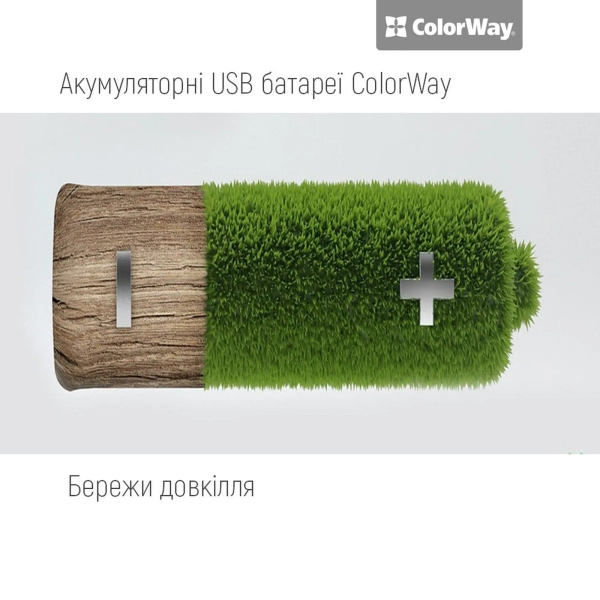 Купить Аккумуляторная батарея ColorWay AAА USB-С 590 mAh 1.5V Li-Pol 2 шт. (CW-UBAAA-09) - фото 3
