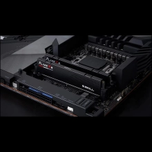Купить Модуль памяти G.Skill Flare X5 Black DDR5-5200 32GB (2x16GB) (F5-5200J4040A16GX2-FX5) - фото 4