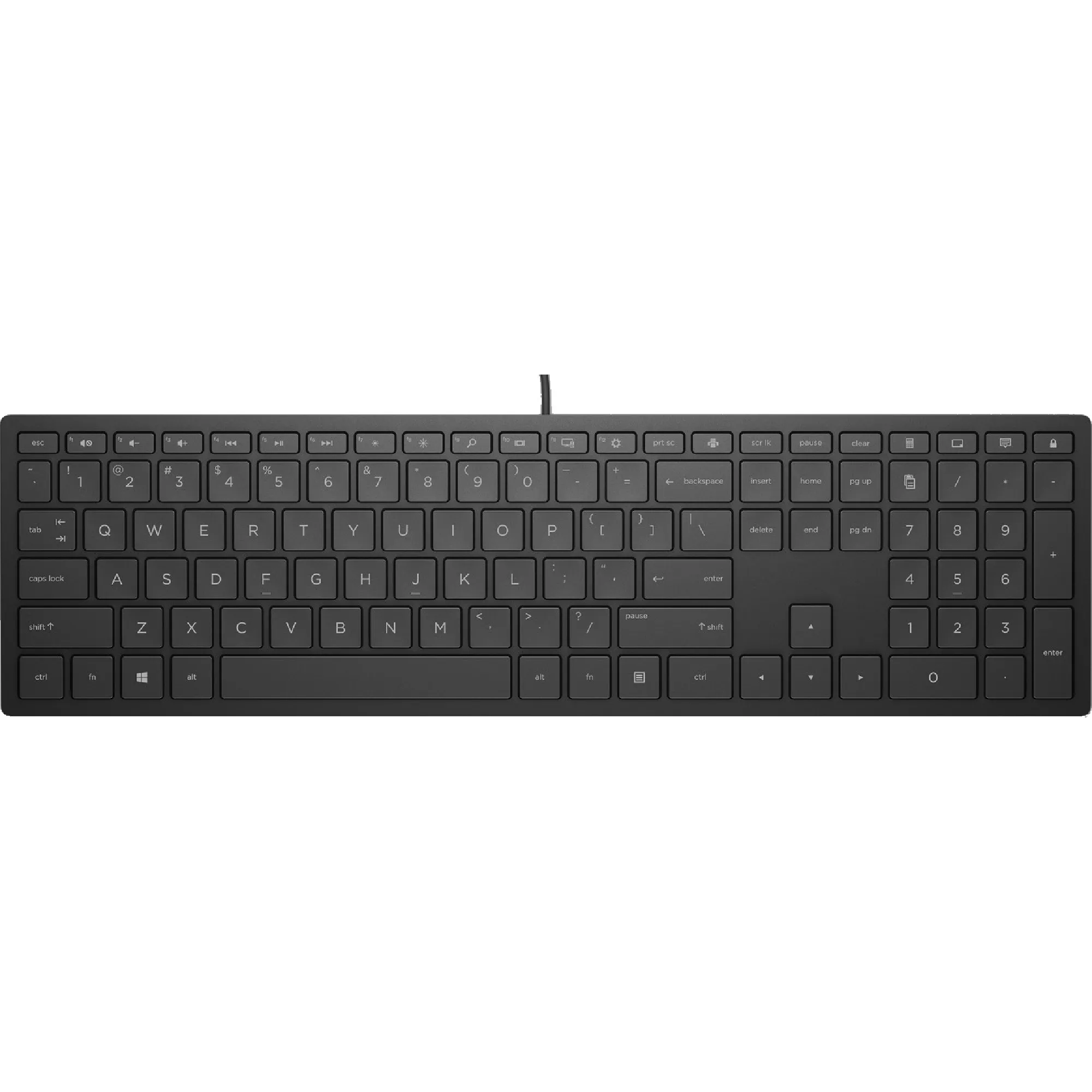 Купити Клавіатура HP Pavilion 300 USB Black (4CE96AA) - фото 1