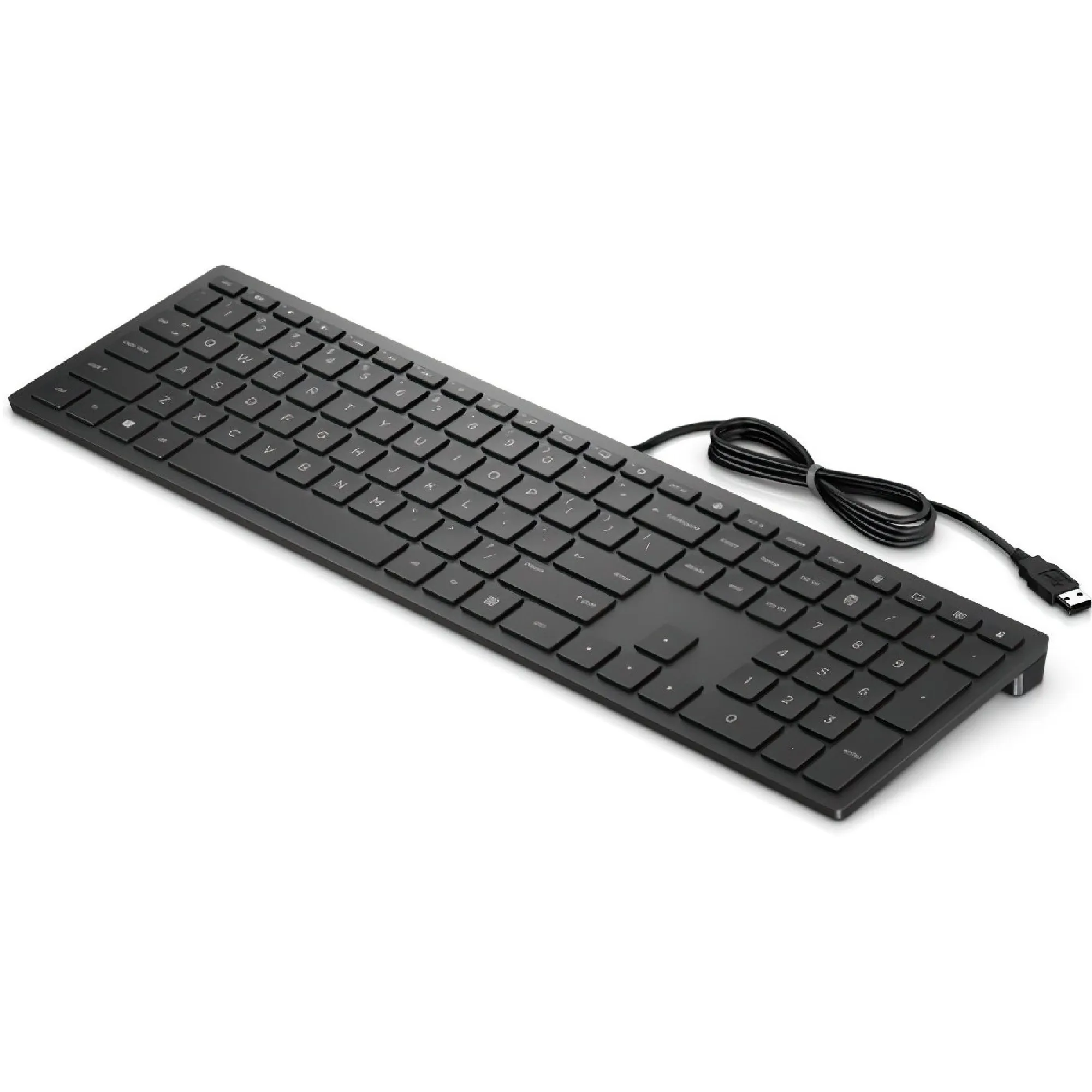 Купити Клавіатура HP Pavilion 300 USB Black (4CE96AA) - фото 2