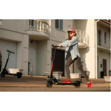Купити Електросамокат Kaabo Skywalker 8 ECO500 - фото 8