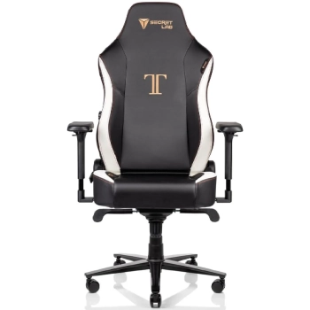 Купити Крісло для геймерів Secretlab TITAN 2020 Prime 2.0 PU Leather Gaming Classic (TT20-PU-Classic) - фото 1