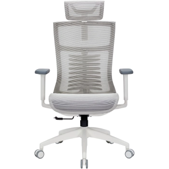 Купить Кресло офисное Officepro Balance OC620-W-LG-LG White/Light Gray - фото 1