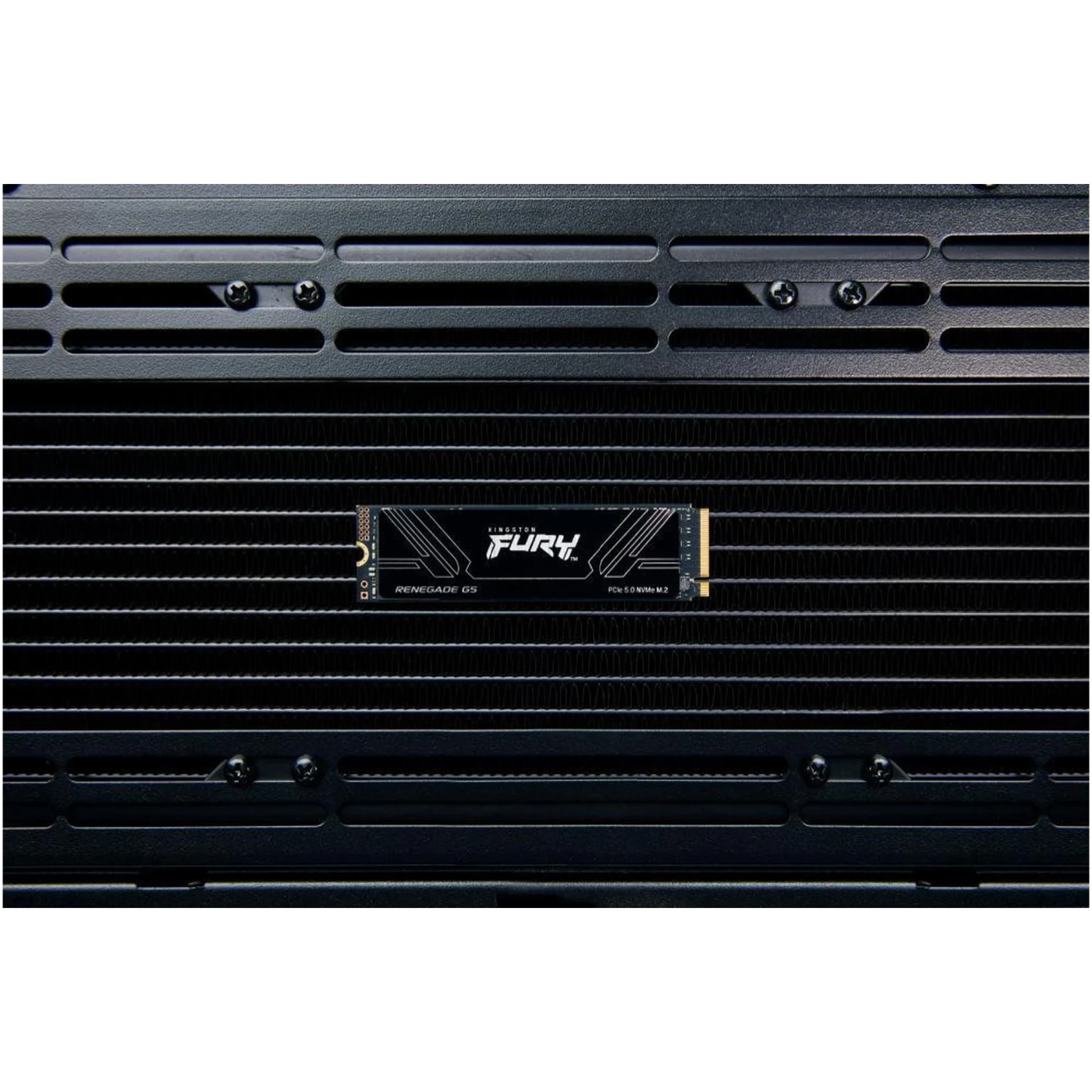 Купить SSD диск Kingston Fury Renegade G5 1TB M.2 (SFYR2S/1T0) - фото 5