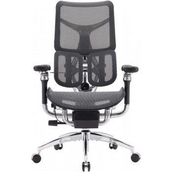 Купить Кресло офисное Sihoo DORO S300 Mesh Dark Grey (S300-M201) - фото 1