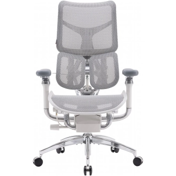 Купить Кресло офисное Sihoo DORO S300 Mesh Light Grey (S300-M202) - фото 1
