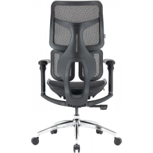 Купить Кресло офисное Sihoo DORO S100 Mesh Black (S100-M301) - фото 2