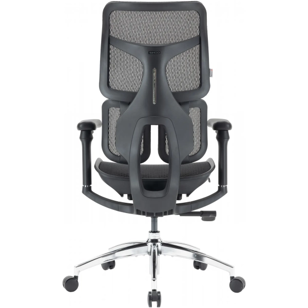 Купить Кресло офисное Sihoo DORO S100 Mesh Black (S100-M301) - фото 2