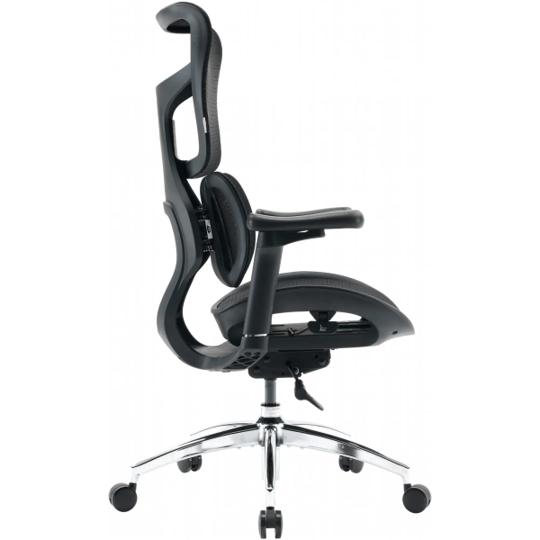 Купить Кресло офисное Sihoo DORO S100 Mesh Black (S100-M301) - фото 3
