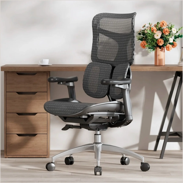 Купить Кресло офисное Sihoo DORO S100 Mesh Black (S100-M301) - фото 6